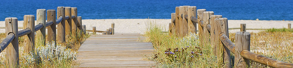 img-header-entorno