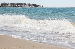 VAGUE baja