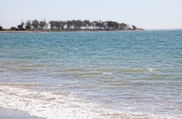 VUE baja